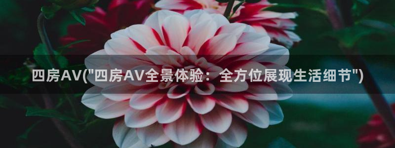 av名字