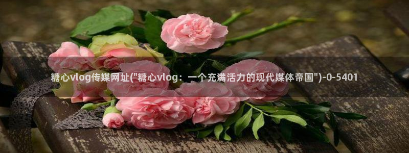 糖心vlog中国区