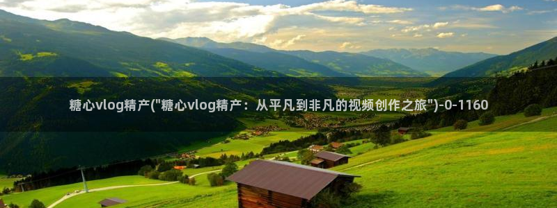 糖心vlog免费视频