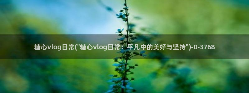 糖心vlog在线视频