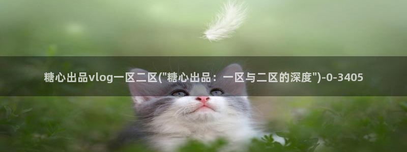 糖心vlog下载方法