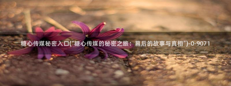 糖心vlog网页版免费观看 度