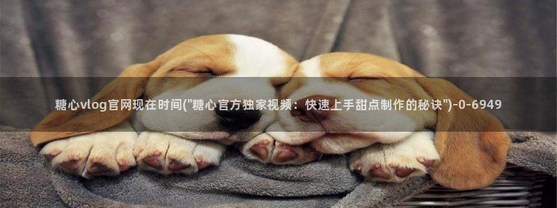 糖心vlogcom.
