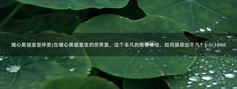 糖心动漫vlog官网观看