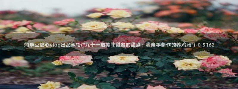 糖心vlog官方